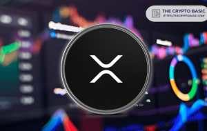 Digital Ascension Group MD فاش می کند که چرا فقط در XRP سرمایه گذاری می کند