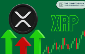 در اینجا پیش بینی قیمت XRP برای 2030 ، 2035 و 2040 وجود دارد