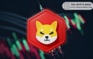 نگه داشتن 10 متر ، 100 متر یا 500 متر شیبا اینو؟ در اینجا ارزش خالص شما با 0.0001 دلار یا 0.0005 دلار است