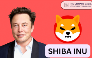 در اینجا اگر الون مسک شروع به تبلیغ شیب مانند Dogecoin کند ، Shiba Inu چگونه می تواند افزایش یابد
