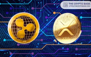مدیرعامل Bankssocial پس از جلسه Ripple می گوید: “شما به اندازه کافی در مورد XRP فکر نمی کنید.