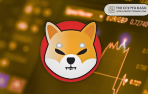 تیم Shiba Inu اصرار بر رشد و بهبود است.