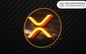 مدیر عامل DAG توضیح می دهد که چگونه XRP ETF می تواند بر قیمت XRP تأثیر بگذارد